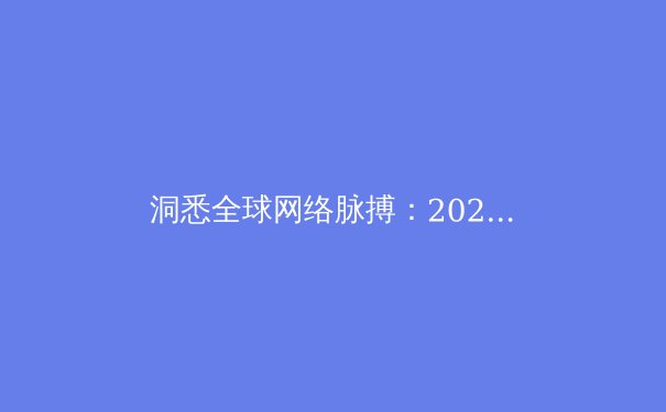 洞悉全球网络脉搏：2024年VPN技术与应用趋势深度解析