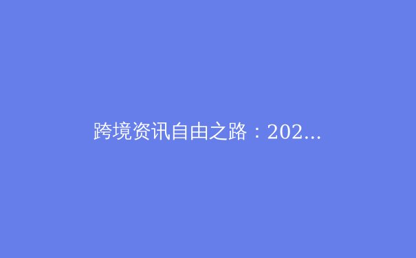 跨境资讯自由之路：2024年VPN技术演进与安全访问全解析 - 3