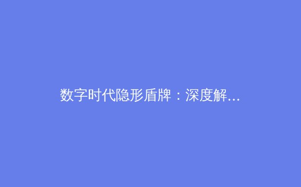 数字时代隐形盾牌：深度解析VPN技术演进与未来趋势 - 3