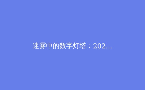 迷雾中的数字灯塔：2024年VPN行业趋势与用户安全策略深度解析 - 2